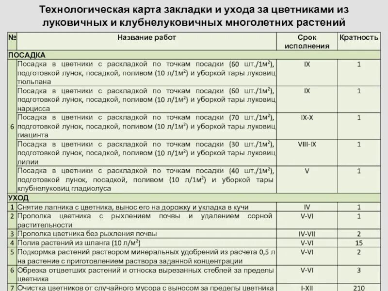 Карту ухаживать. Технологическая карта на посев многолетних трав. Технологическая карта возделывания многолетних трав. Технологическая карта посадки растений. Технологическая карта ухода многолетних растений.