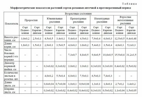 Расписание ромашки суровикино волгоград