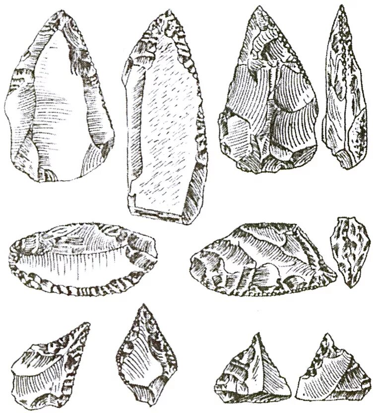 Эпоха Мустье. Каменные орудия эпохи Мустье. Палеолит Мустье. Эпоха Мустье орудия труда. Рисунки рубило