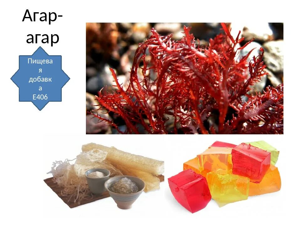 Агар - агар 900 greenagar 1 кг. Агар-агар 900 (е406) (1 кг). Агар агар это. Желатин агар-агар. Агар-агар 1000 (1000 грамм).