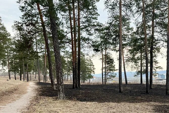 Парк шлюзовой тольятти. Эко парк на шлюзовом в тольятти. Эко парк шлюзовой самарская область тольятти. Тольятти новый парк шлюзовой. Экопарк тольятти.