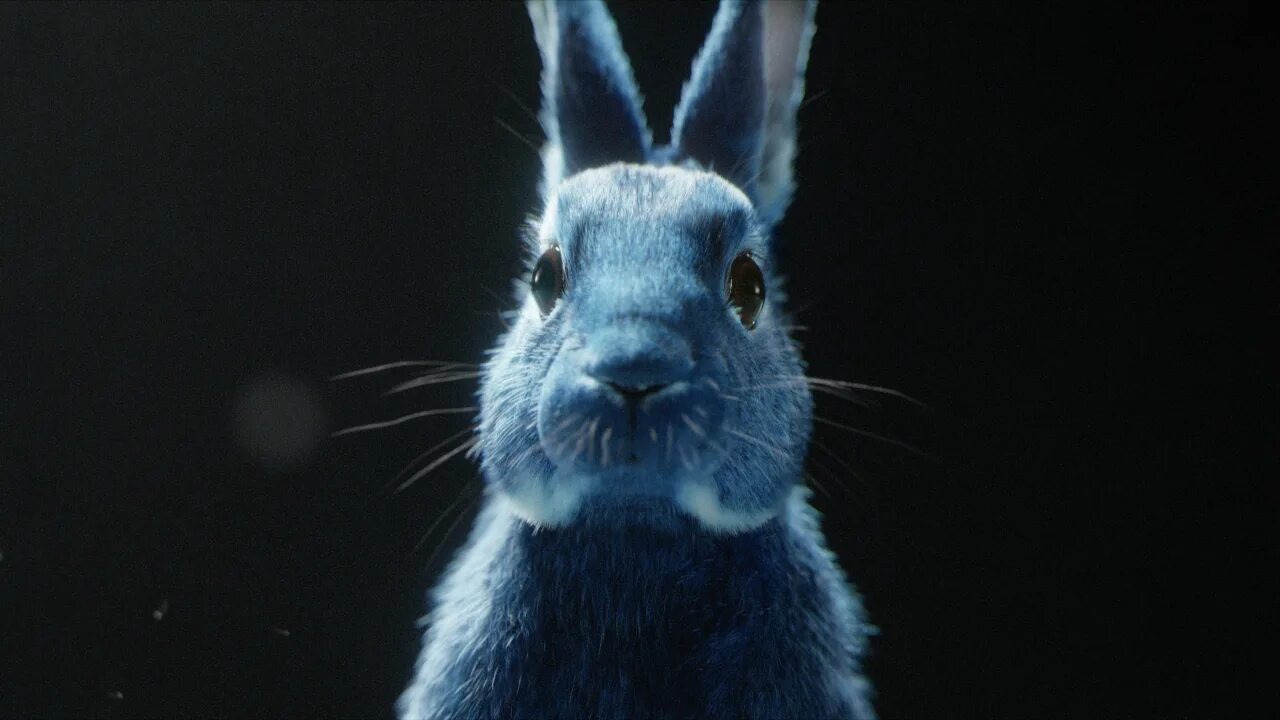 2023 год синего. 2023 Год голубого водяного кролика. Голубой заяц. Синий зайчик. Морда кролика.