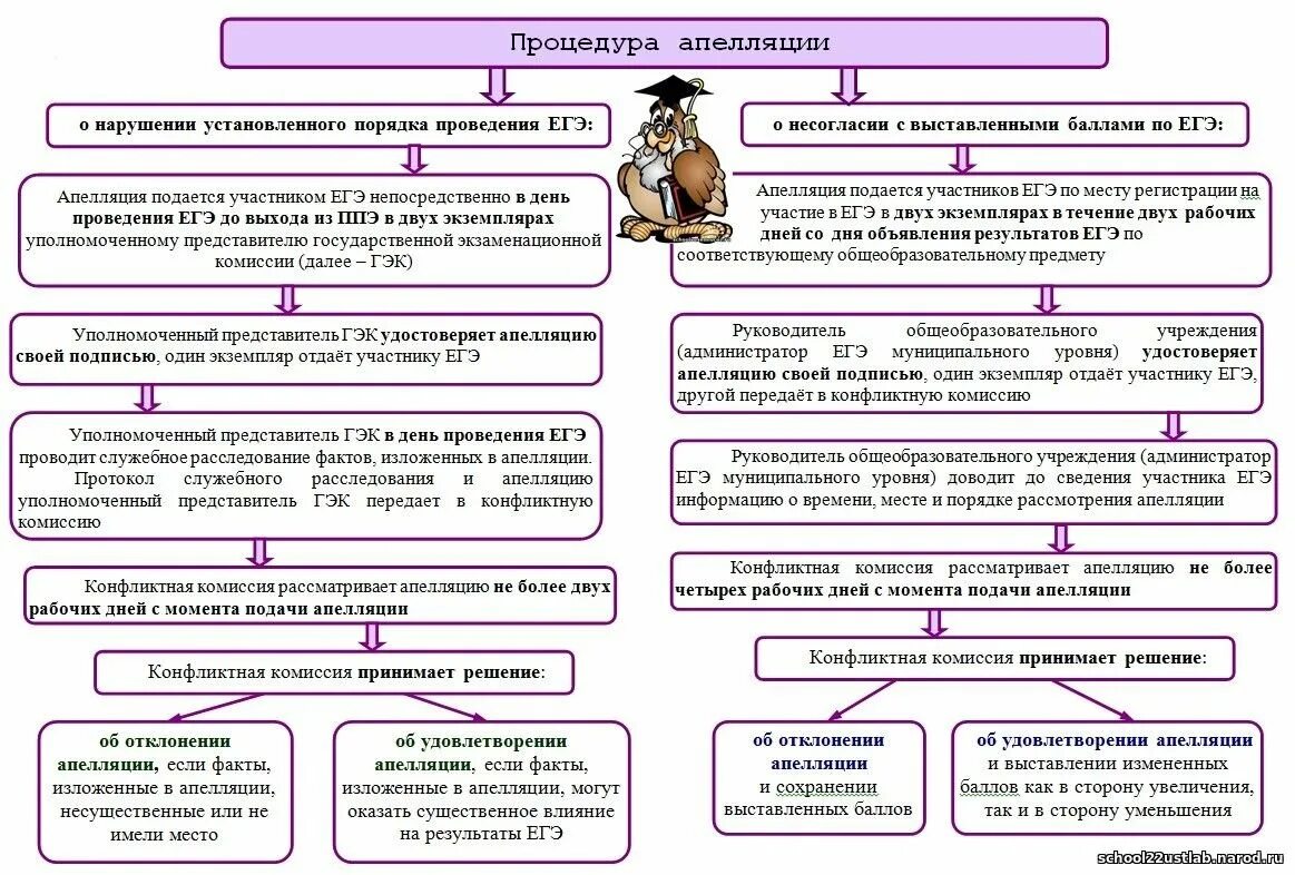 Процедуру апелляции. Порядок подачи апелляции егэ 2025. памятка об апелляции по егэ. порядок апелляции гиа. рассмотрение апелляции по егэ.