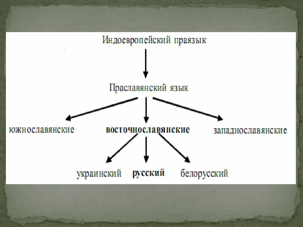 Праславянский язык пример. Праиндоевропейский язык общеславянский язык. древнерусский язык схема. славянские языки схема. происхождение праславянского языка.