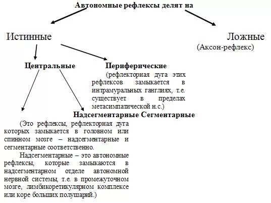 Классификация вегетативных рефлексов. Классификация автономных рефлексов. Вегетативные рефлексы: Аксон-рефлексы. Примеры автономного рефлекса.