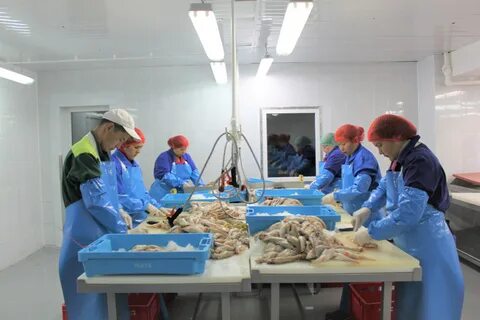 Энергетик рп5 оренбургская область на неделю