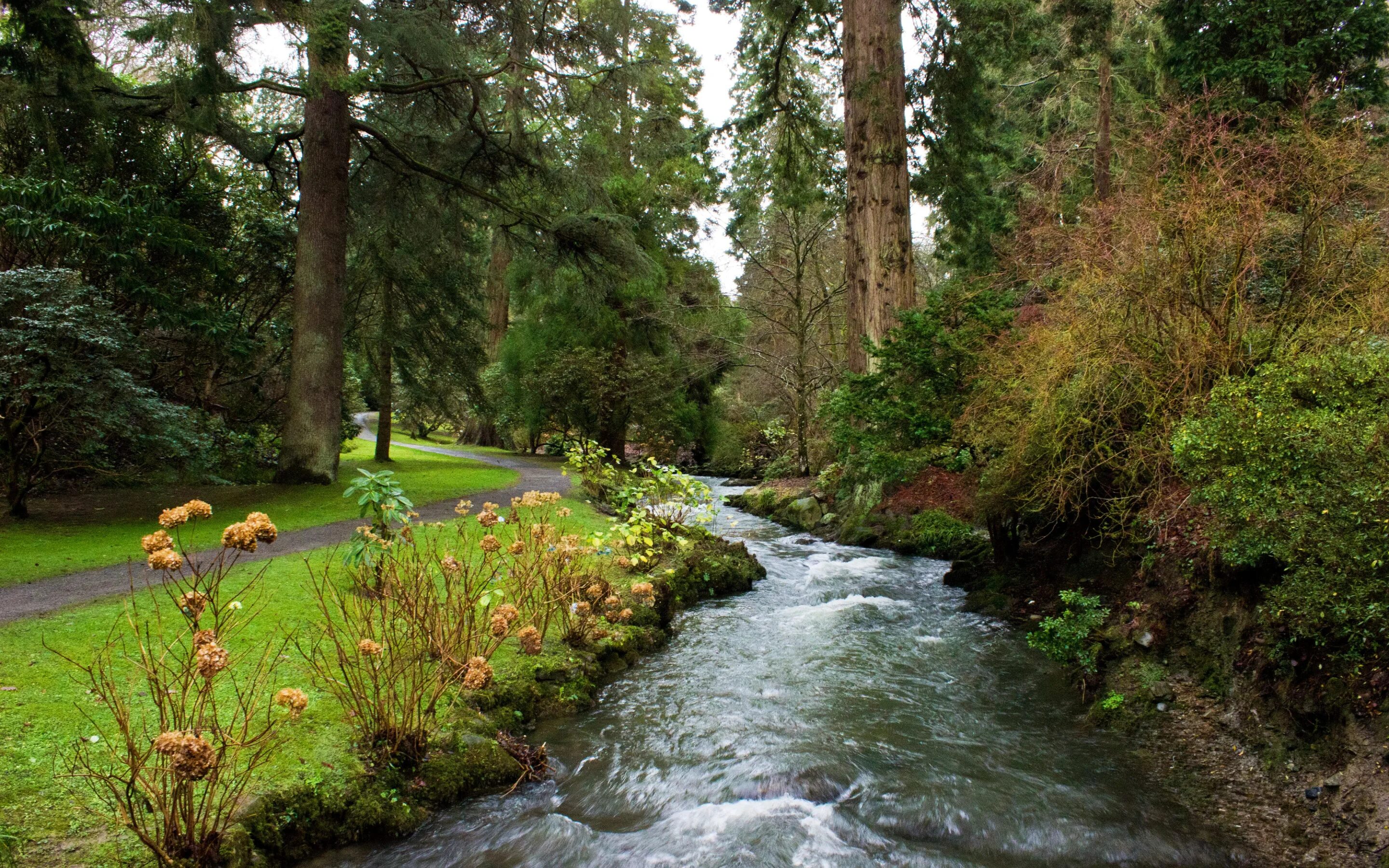 Stream path stream