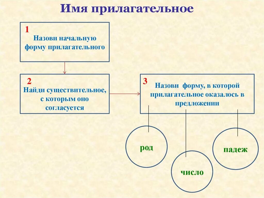 Конспект урока форма имен прилагательных 3 класс. 3 Падежа начальной формы прилагательного. Нач форма прилагательного. Начальная форма имени прилагательного. Начальная форма прилагательного и существительного.