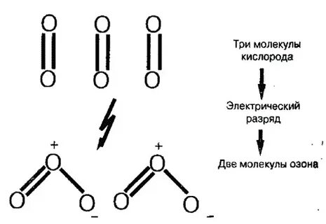 Озон связь