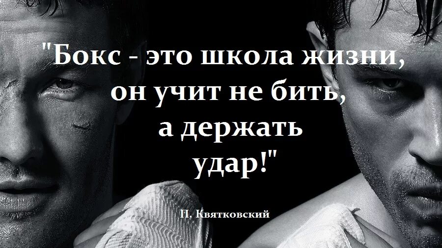 Что сказать после поражения. Цитаты про бокс. Цитаты про бокс со смыслом. Цитаты боксёров со смыслом. Высказывания боксеров.