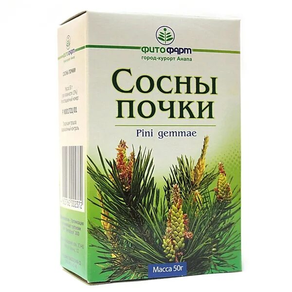 Почки сосны в аптеке. Почки сосны сбор. Сосна лекарство. Почки сосны в аптеке. Сосновые почки аптека.