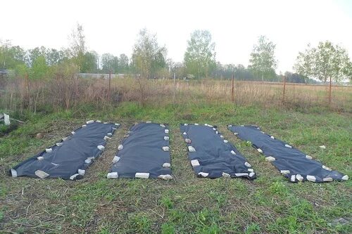 Грядки укрыть спанбондом