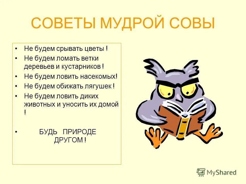 урок русского языка с мудрой совой 1 класс. мудрая сова. советы мудрой совы. урок подошел к концу. загадка про мудрую сову.