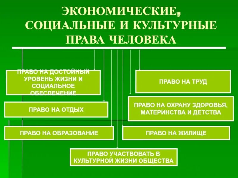 Социально экономические и социально культурные организации