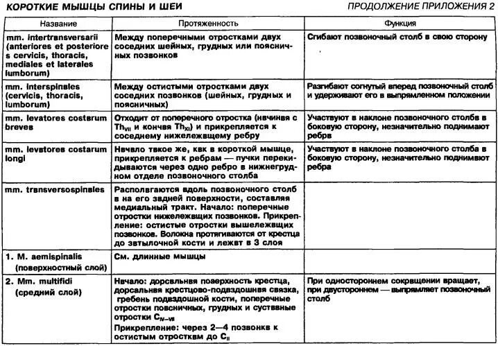Мышцы движения позвоночного столба. Мышцы обеспечивающие движение позвоночного столба. движения мышц таблица. мышцы приводящие в движение позвоночный столб таблица. мышцы нижней конечности таблица.