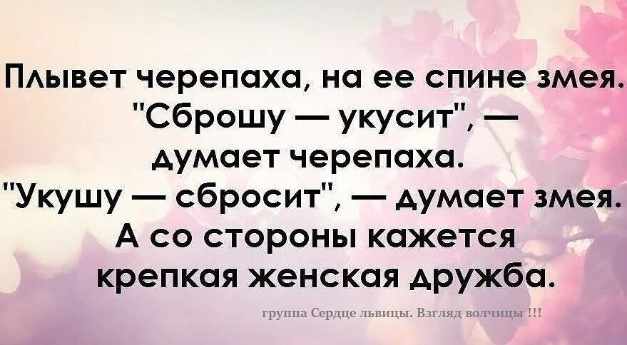 Женская Дружба цитаты. Анекдоты про дружбу. Афоризм о дружбе женщин. Статусы про женскую дружбу. Женская дружбы не бывает слушать