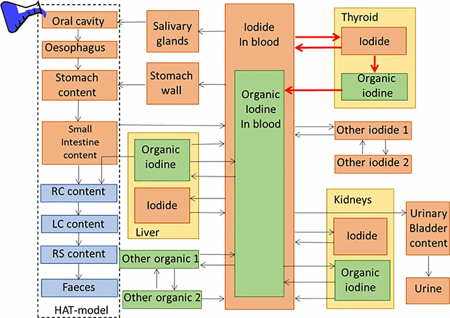 Include 30. Two compartment model. Архитектура автотестов iintelij Dea. Functional Dosimetry.