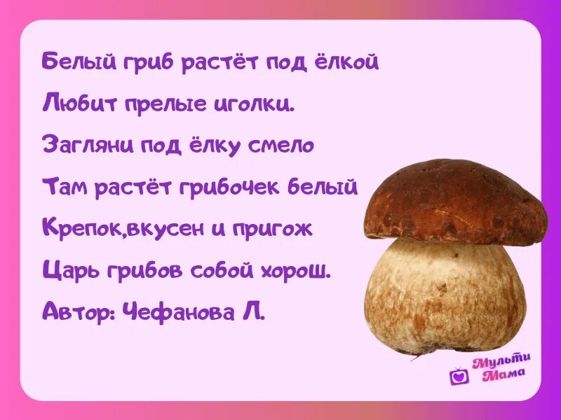 Стишки про грибы для детей. Стихотворение про грибочки для детей. Стишки про грибы. Стихи о грибах. Стишки про грибы.