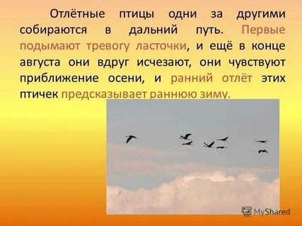 Как называется способность птиц предвидеть наступление