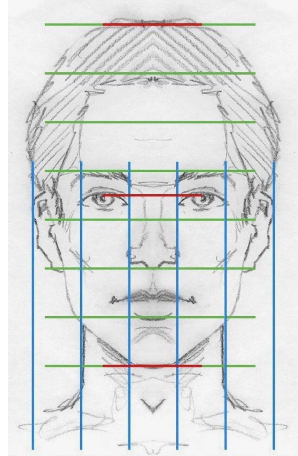 Лицо рисунок схема. Портрет (конструкция головы человека. Анфас, профиль). Пропорции лица человека при рисовании портрета схема. Портрет анфас пропорции. Пропорции портретов сбоку.
