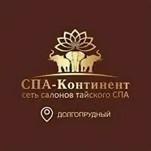 Спа континент долгопрудный дирижабельная