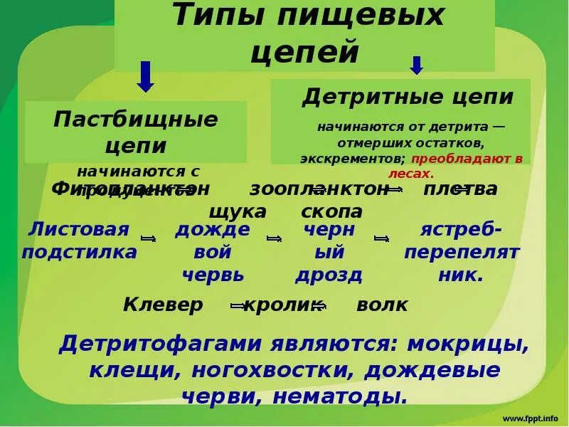Пастбищное питание пример