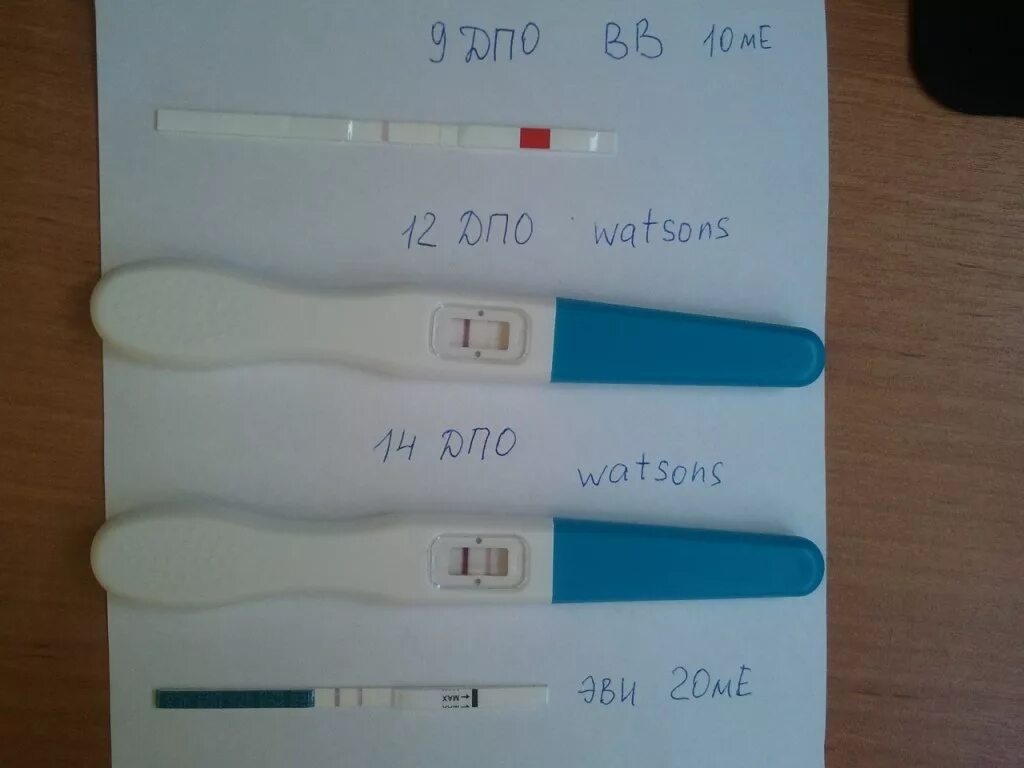 Тесты после оплодотворения. Тест на беременность после овуляции. Тест на беременность после па. Тест через 12 дней после па. Через сколько дней делать тест после овуляции