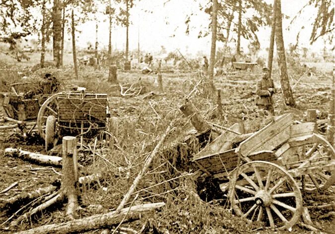 долина смерти мясной бор 1941 1942. 2-я латышская добровольческая бригада сс. битва в мясном бору 2 ударной армии. 2 ударная армия волховского фронта 1942. 1942 год деревня мясной бор.