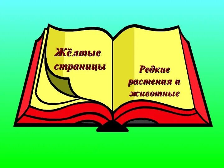 Желтая книга россии. Желтые страницы красной книги. Странички красной книги. Желтые страницы красной книги животные. Страницы красной книги России.