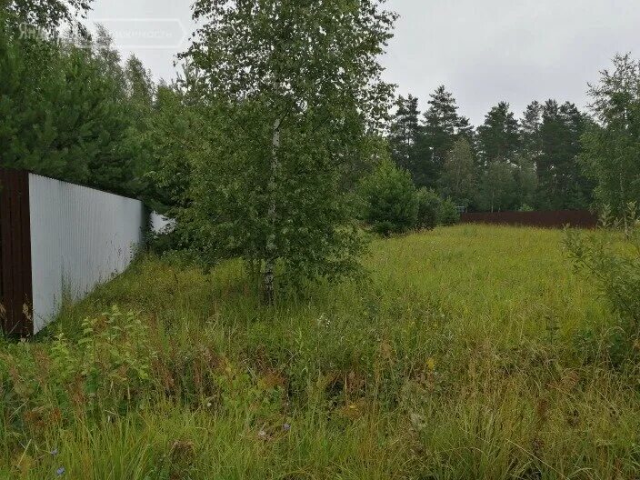 ярославская область, г. 22 сотки земли. дубки. участок 22 сотки. гжельский лес коттеджный поселок.