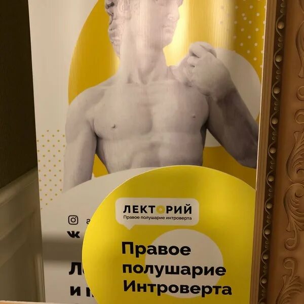 Правое полушарие интроверта приложение. Правое полушарие интроверта. правое полушарие интроверта лекторий. правое полушарие интроверта лекторий спб. что такое гачимучи правое полушарие интроверта.