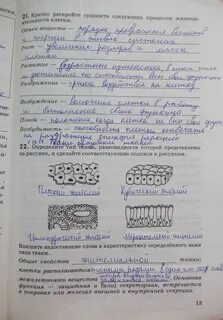 Текст жизнедеятельность клетки пропущенные слова