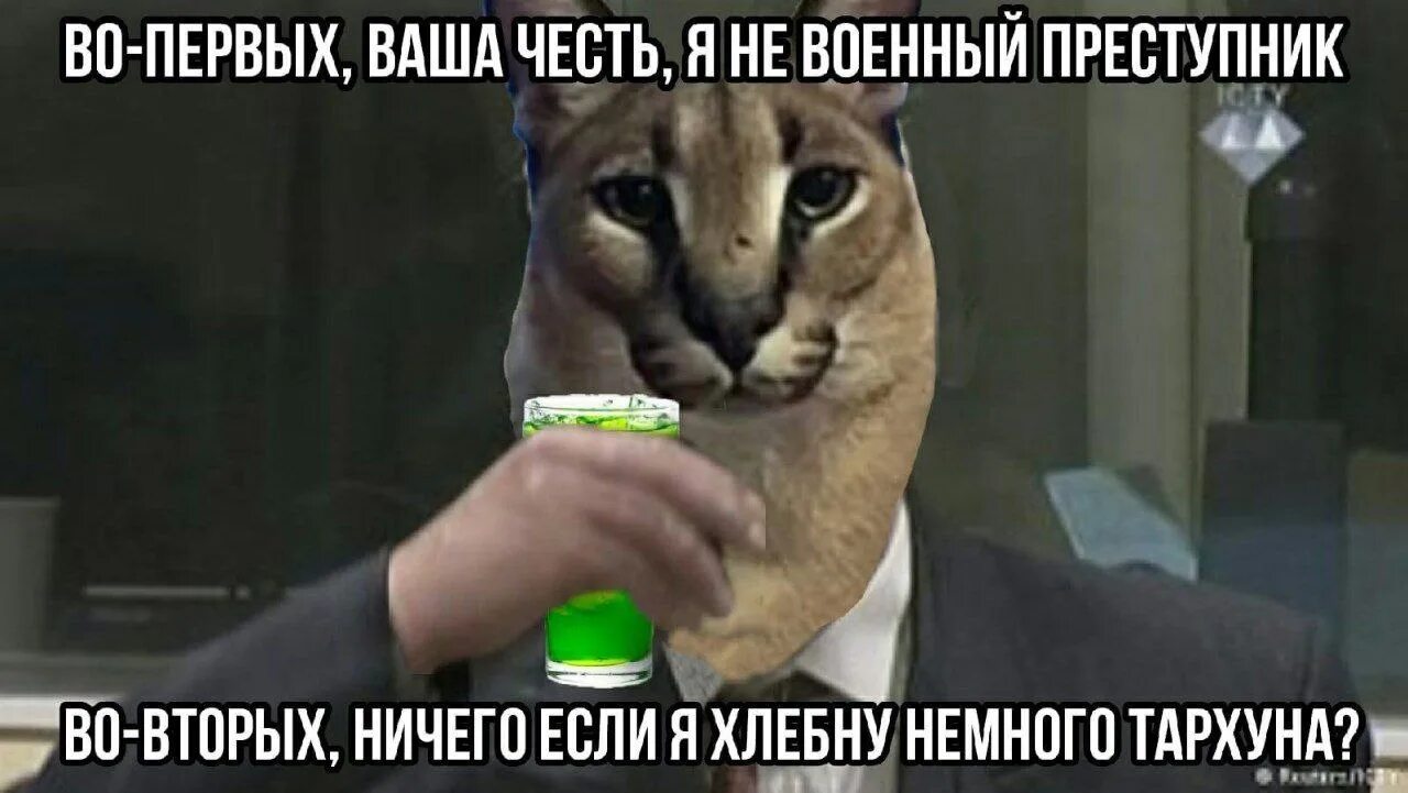Во первых пошел на во вторых. Шлёпа русский кот Мем. Большой Шлепа Мем. Шлепа большой русский кот Мем. Мемы про котов.