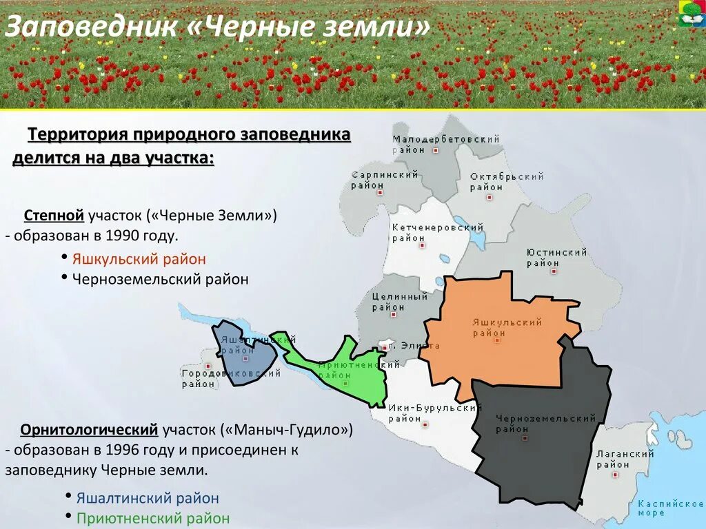 Черные земли на карте россии. Черныe земли, государственный природный биосферный заповедник. Биосферный заповедник черные земли в Калмыкии. Заповедник черные земли Калмыкия на карте. Чёрные земли заповедник площадь.