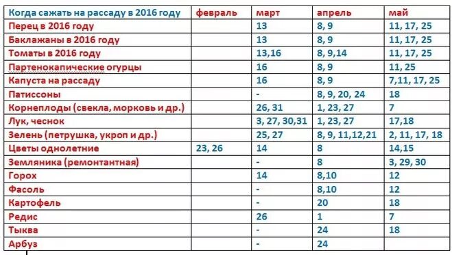 Когда сажать помидоры на рассаду. Когдасажать ТМАТ на рассаду. Когда садить рассаду. Когда садят рассаду томатов и перца?. Какие дни садить рассаду помидор в марте