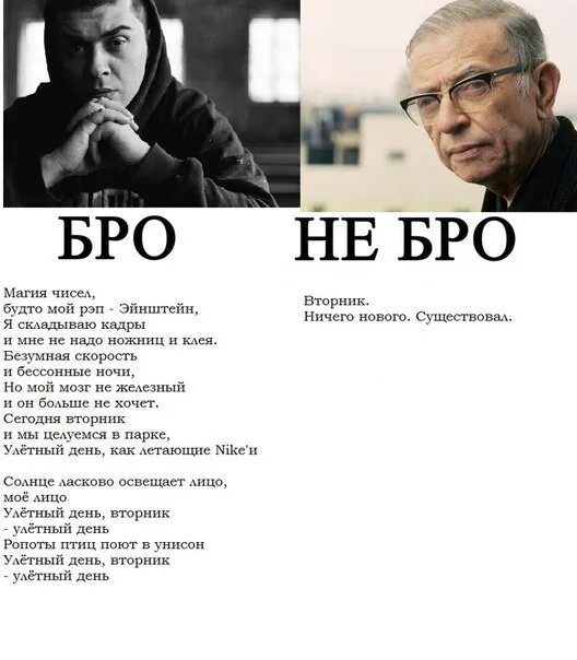 Бро не бро. Бро не бро Сталин. Бро не бро птицы. За бро Писатели.