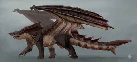 Shark dragon