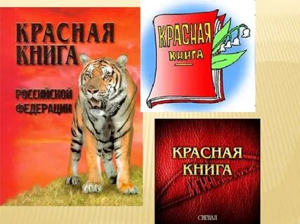 Твоя красная