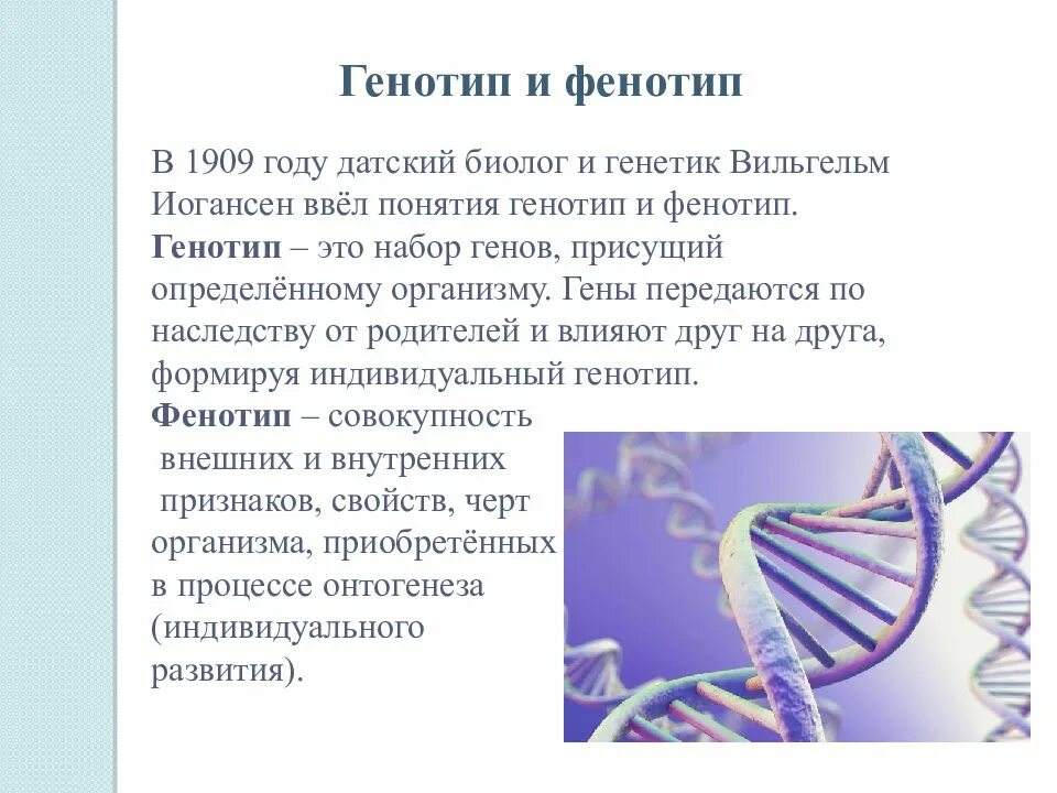 Генотип свойства нервной системы и способности человека. Литература генотип, свойства нервной системы и способности человека..