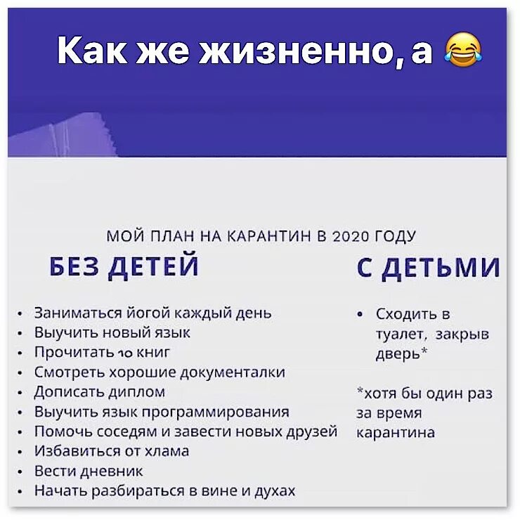 Планы карантин