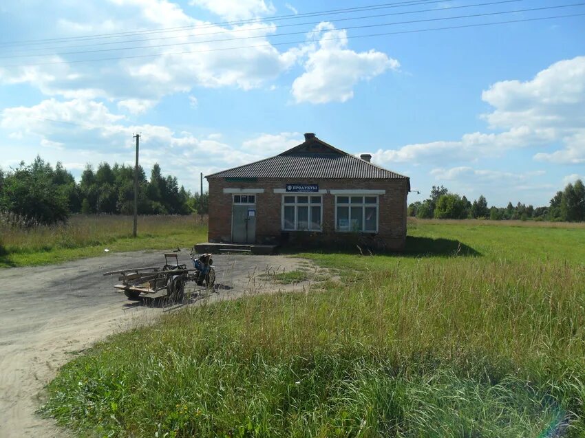 Бичи село. Деревня малая бича. Бичи деревня псковская область. Автовокзал якутск бомжи. Деревня малая бича.