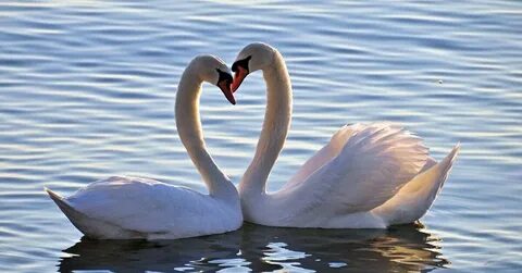 Қызға секс ойыншық беріңіз