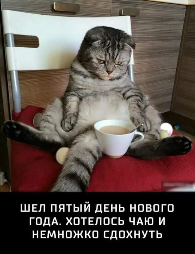 Попей немножко