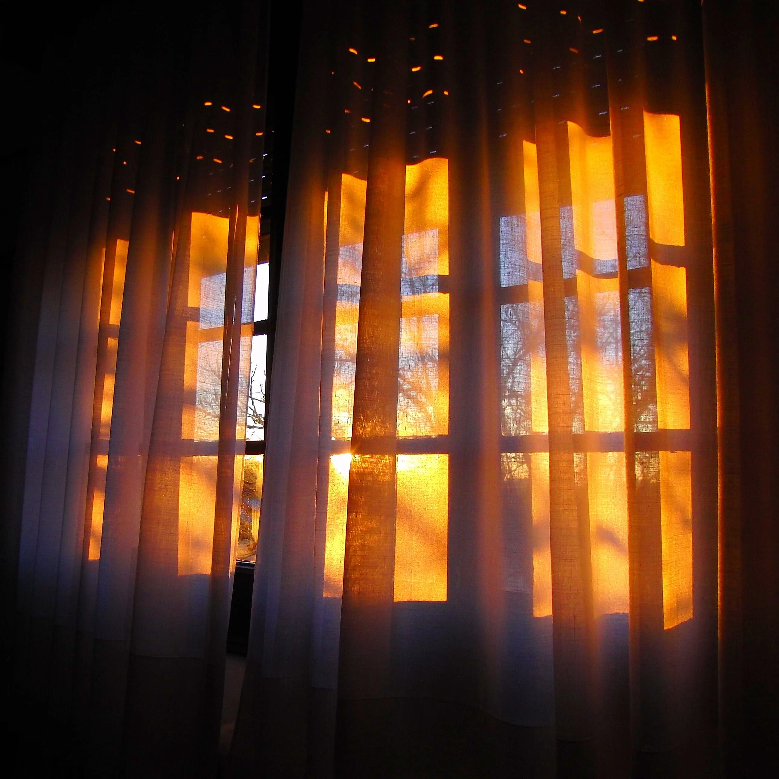 Свет в окне читать. Лучи солнца через окно. Луч солнца в окне. Занавески на окна. Солнечные лучи в окне.