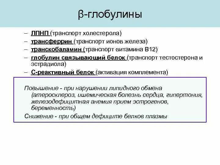 Повышенный глобулин у мужчин. Основные функции глобулинов. Бета глобулины примеры. Альфа 2 глобулины функции. Глобулины функции в крови.