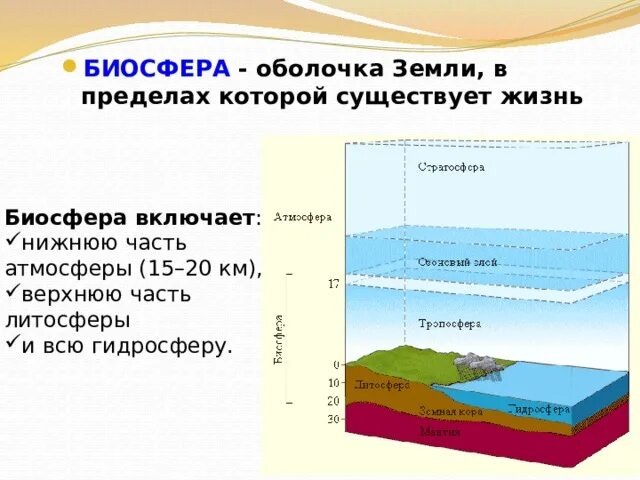 Литосфера гидросфера атмосфера Биосфера. Оболочки земли Биосфера, атмосфера. Нижняя часть биосферы и литосфера. Оболочки земли гидросфера Биосфера. В чем заключается влияние организмов на литосферу