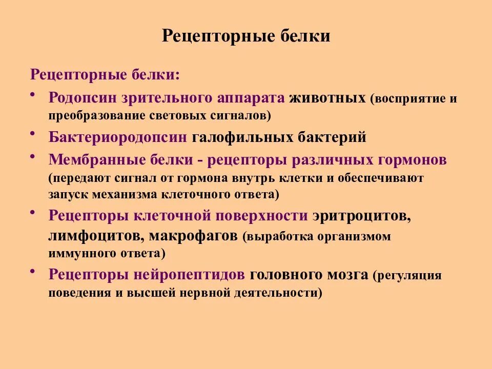 Какие функции выполняют белки мембран. Белки рецепторы примеры. Рецепторные белки примеры. Функции белков рецепторов. Рецепторные белки функции.