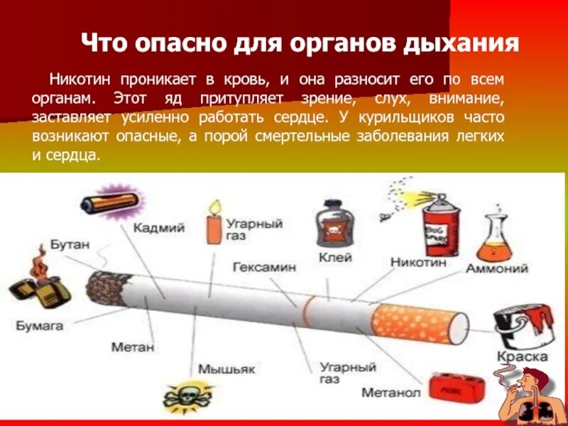 Орган вырабатывающий никотин. Для чего вреден никотин. Опасность никотина для человека. Как выглядит никотин. В сердце раны в легких никотин