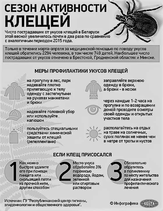 Энцефалит через сколько проявляется после укуса. Методы профилактики от укусов клеща. Таблетки если укусил клещ. Профилактические препараты после укуса клеща.