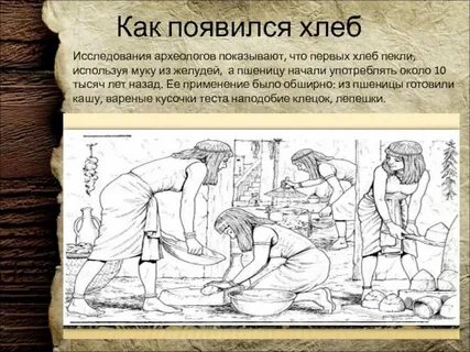 Как появляется хлеб видео для детей